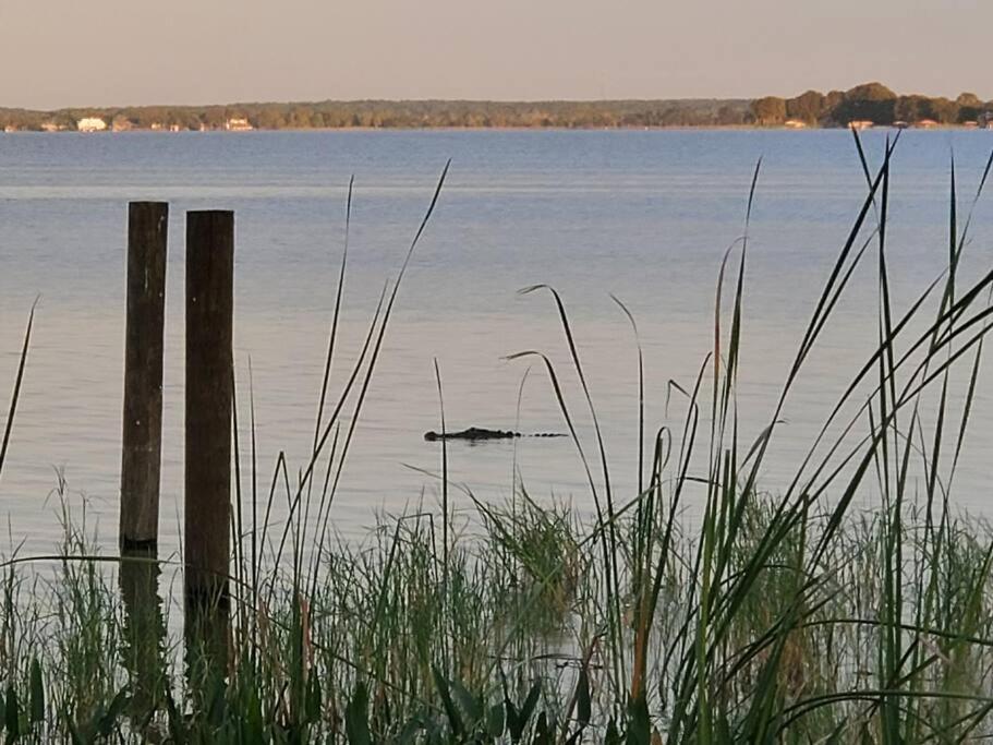 Camp St. Cabanas Unit 2 On Lake Dora Tavares Zewnętrze zdjęcie